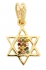 Gold Filled Mini Twelve Tribes Star of David Pendant