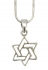 Rhodium Star of David Necklace