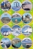 Scenes from Israel Stickers