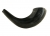 Small Black Rams Horn Shofar - Polished by aJudaica