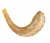 Medium Rams Horn Shofar - Polished by aJudaica