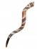 Yemenite Decorated Shofar - White and Bronze