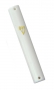 Plastic Mezuzah with gold "Shin"