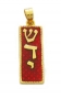 Gold Filled Red Enamel Mezuzah Pendant