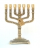 Twelve Tribes 7 Branch Menorah