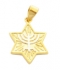 Star of David Menorah Pendant
