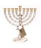 Holidays at aJudaica. Nice selection of gifts for Jewish holidays.