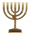Twelve Tribes Seven Branch Menorah - Large cups