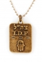 Israeli Army Dog Tag Bronze Pendant - Hamsa