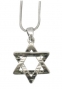Rhodium Star of David Pendant Necklace