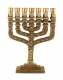 Small-Twelve-Tribes-7-Branch-Menorah