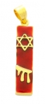 Gold Filled Red Enamel Mezuzah Pendant
