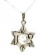 Sterling-Silver-Star-of-David-with-Zion-Pendant