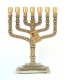Twelve-Tribes-7-Branch-Menorah