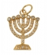Gold-Filled-Zirconium-Seven-Branch-Menorah-Pendant