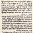Ashkenaz Torah Scroll - Ktav Ari