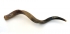 Large Yemenite Shofar - Half Polished Half Natural