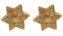 Gold Filled Star of David Earrings