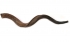 Jumbo Yemenite Natural Shofar