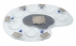 Palette Seder Plate