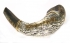 Sterling Silver plated Shofar with Gold