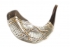 Silver and Gold Plated Shofar