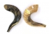 Shofar for Kids