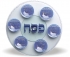 Glass Seder Plate - blue flower design