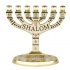 Ivory Enamel Menorah