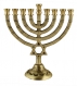 Pewter Plated Hanukkah Menorah   Star of David