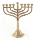Brass Menorah (Hanukia)