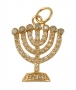 Gold Filled Zirconium Seven Branch Menorah Pendant