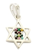 Gold Filled Rhodium Mini Twelve Tribes Star of David Pendant