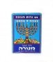 Hanukkah Candles