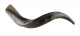 Small-Yemenite-Shofar-Half-Polished-Half-Natural