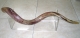 Lucite-Yemenite-Shofar-Stand