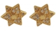 Gold-Filled-Star-of-David-Earrings