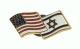 Israel USA flags pin