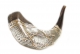 Silver-and-Gold-Plated-Shofar