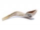 Large-Rams-Horn-Shofar-Polished