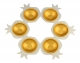 Golden-Silver-Pomegranates-Seder-Plate-by-Shraga-Landesman