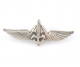 Israeli Army Lapel Pin - "Duvdevan" Symbol