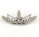 Israeli Army Lapel Pin   Border Guard Symbol