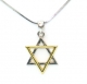 Rhodium Silver & Gold Necklace set with Magen David pendant