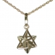 Divine Kabbalah Chariot Pendant with Hook