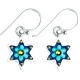 Baby Blue Flowers Star of David Earrings