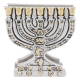 Menorah Napkin Holder