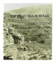 The Dead Sea Scrolls Pamphlet in English