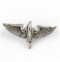 Israeli Army Lapel Pin - Givati "Shaked" Symbol