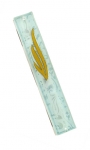 Glass Mezuzah with Floral Design and Gold Shin